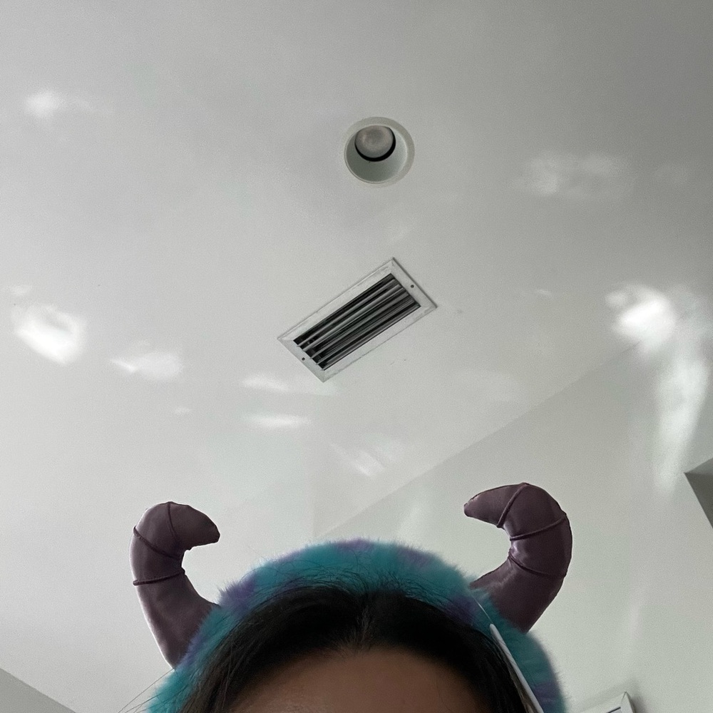 Sully mickey ears w tags